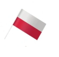 Flaga Polska drukowana  chorągiewka