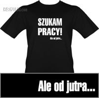 t-shirt Szukam pracy