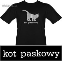 t-shirt kot paskowy